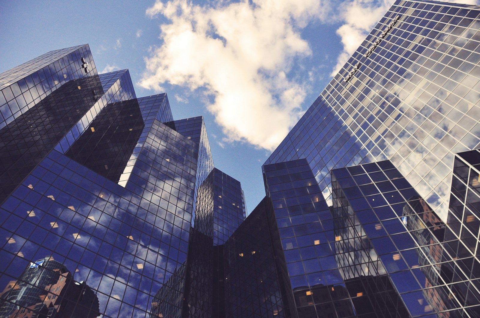 Low angle view of a glass curtain wall building